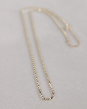 Image of 9ct gold faceted chain Necklace