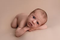 Newborn Photography Session Gift Certifcate