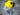 D-Blob Yellow