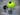 D-Blob Green