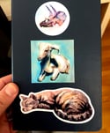 Sleeping Cat Watercolor Sticker