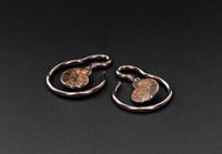 Image 2 of Ear Hangers - Ammonite Shell - Natural - Stainless Steel 316L - 4mm - Silver Gold - Gauges 