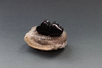Image 3 of Crystal Heart Plugs - Black Obsidian - Heart Gem Stone Double Flared Plugs - Crystal Plugs - Stone
