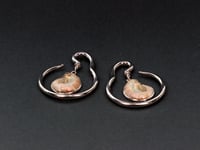 Image 3 of Ear Hangers - Ammonite Shell - Natural - Stainless Steel 316L - 4mm - Silver Gold - Gauges 