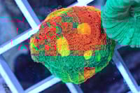 Jellybean Chalice 3 eyes