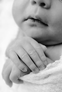 Image 2 of Newborn 