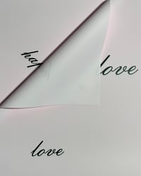 Light Pink Love WP