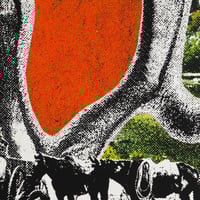 Image 4 of LIQUID MIKE - Paul Bunyan's Slingshot CS