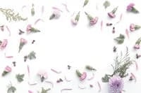 Image of Graduation Invitations (Customize)
