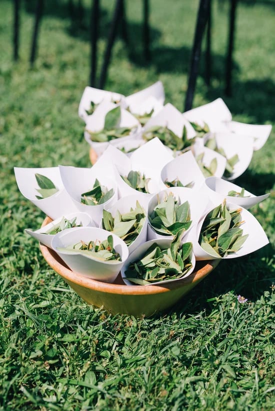 100% Olive Leaf MAX Capsules-Powder-Teabags-Leaves. Herpes-Immunity-Cravings-Overeating-Parasites