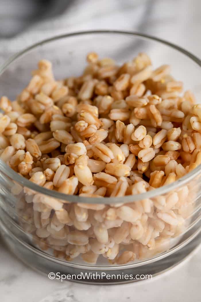 ANCIENT WHEAT-28! The REAL Oatmeal Alternative-BERRIES & FLOUR. HIGH PROTEIN!