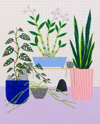 Image 1 of "Orchid with Swiss Cheese and Mother-In-Law’s Tongue" fine art print