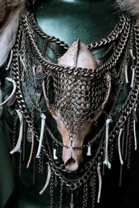 Image 5 of Coyote armor 