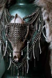 Image 2 of Coyote armor 