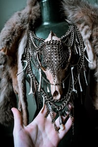 Image 10 of Coyote armor 