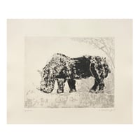 Image 1 of Rhinoceros / last copy