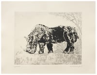 Image 2 of Rhinoceros / last copy