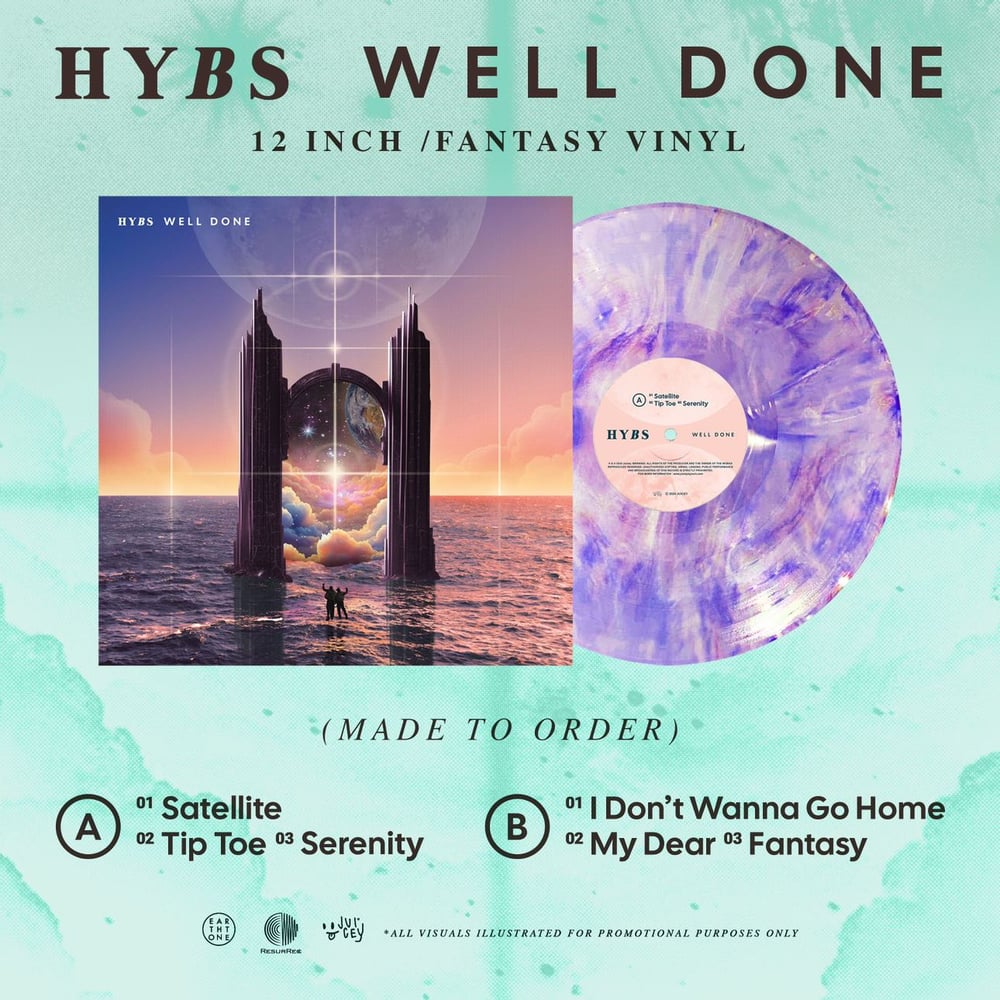 Image of HYBS - WELL DONE 12" vinyl