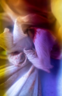 Image 2 of Soft Resilience #11