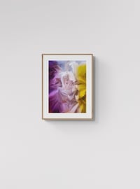 Image 1 of Soft Resilience #1