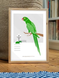 Image 1 of Print Wiesbadener Sittich
