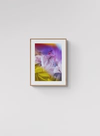 Image 1 of Soft Resilience #6