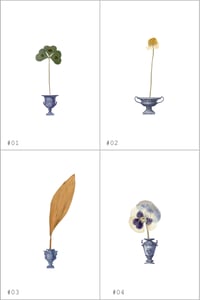 Image 4 of Herbarium