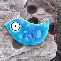 Image 3 of BLUEBIRD 