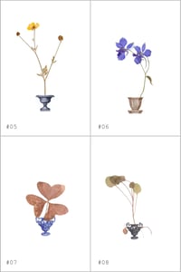 Image 5 of Herbarium