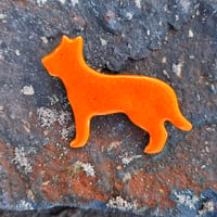 Image 1 of ORANGE BESTIE 