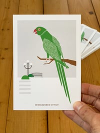 Image 1 of Postkarte Wiesbadener Sittich