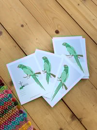 Image 2 of Postkarte Wiesbadener Sittich