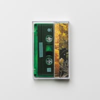Image 3 of CHARMER - Ivy CS + Print