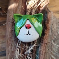Image 1 of ROGGER - FUNKY TASHA'S PET