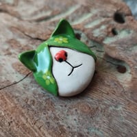 Image 2 of ROGGER - FUNKY TASHA'S PET