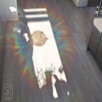 Image 3 of [CULT OF THE LAMB] Ascending - Suncatcher