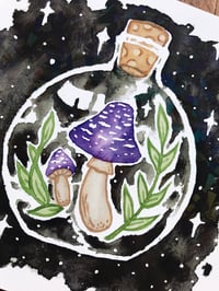 Image 3 of Mushrooms in a Bottle