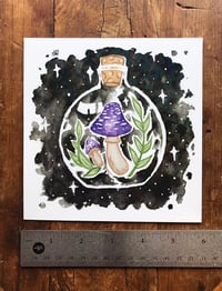 Image 4 of Mushrooms in a Bottle