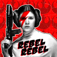 Rebel Rebel 10x10 Princess Leia Print