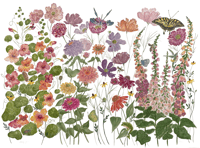 Image 4 of Cottage Garden- original artwork 