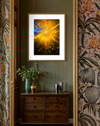 Image 2 of NATURE'S MANDELA (24X18)