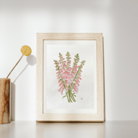 Image 1 of Pink Foxglove-original artwork 