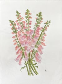 Image 3 of Pink Foxglove-original artwork 