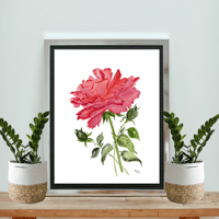 Image 1 of Red Rose-original artwork