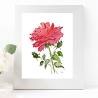 Image 2 of The Rose- poster print