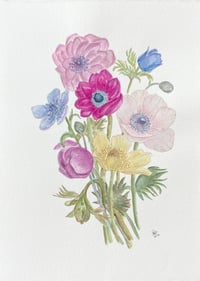 Image 2 of Anemone bunch- original artwork 