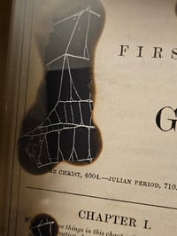 Image 7 of Incredible giant golden orb weaver, 1800' Genesis bible page and real web 