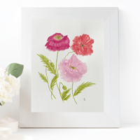 Image 2 of Shirley Poppies- original artwork 