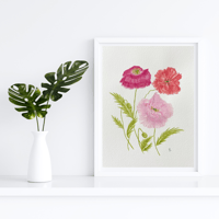 Image 4 of Shirley Poppies- original artwork 