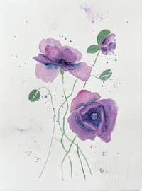 Image 4 of Loose Purple Poppies